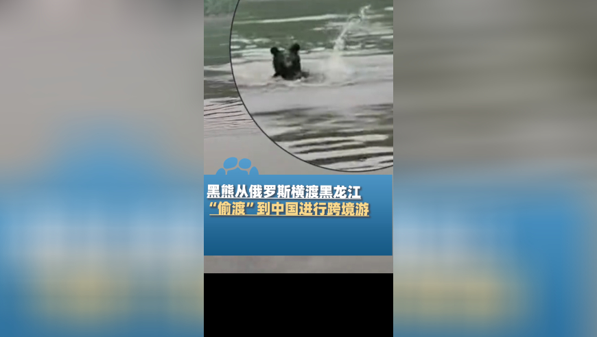 屈臣氏回应郭晓婷购买内裤有霉斑,香港内部马料免费资料一摇钱树,前瞻性战略落实探讨_标清版V13.59