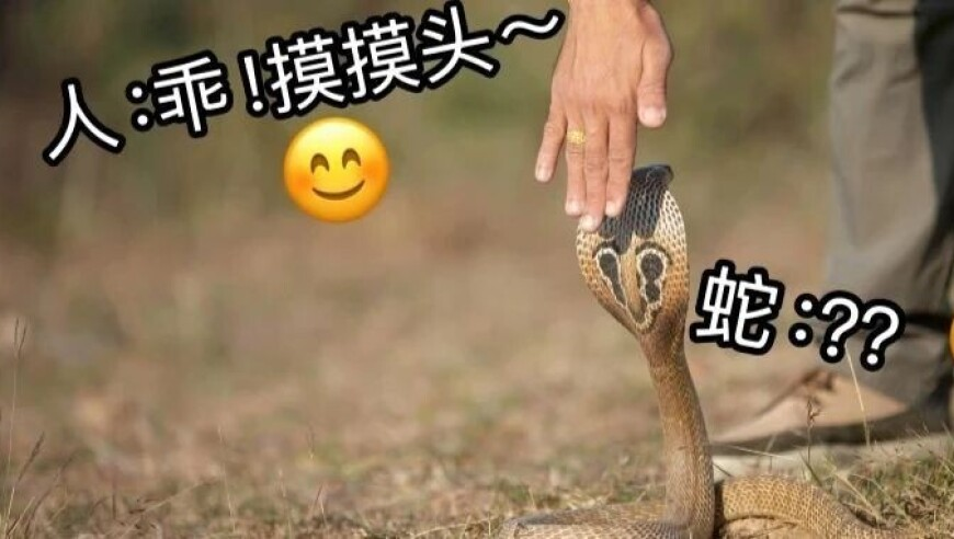 2025今晚开奖结果出来,去年中国入境游成绩单公布,最佳精选解释落实_铂金版V6.42